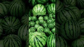 Watermelon #shorts #youtubeshorts #watermelon #fruit