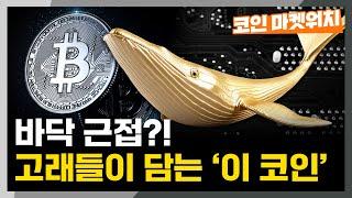 바닥 근접? 고래들이 담는 ‘이 코인’ l 코인 마켓워치