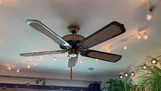 Video Tour of Ceiling Fans in a fan collector's apartment