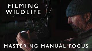 A Beginners Guide to Mastering Manual Focus for Filming Wildlife