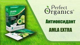  Быстрая детоксикация,  Amla Extra - антиоксидант \\ Perfect Organics \\ 