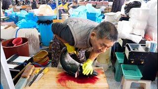 korean sashimi master-korean street food