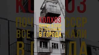 До СССР все жили в деревнях #ссср #строительстводомов #домиликвартира #строительство