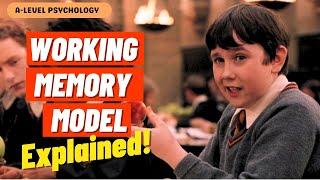 Working Memory Model EXPLAINED | AQA Psychology | A-level