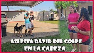 David regreso con puntos de sutura en la cabeza y nelly se preocupa.