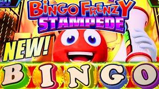 NEW SLOT! I HAD TO TRY IT AGAIN!!   BINGO FRENZY STAMPEDE TIGER & SHARK Slot Machine (KONAMI)