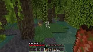 Lily Pads guide, where to find many of them - Minecraft 1.21