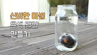 달걀이 은색으로?! 신비한 마법같은 은쌤의 실험시간! 실버에그 만들기 (How to make silver egg)