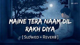 Maine Tera Naam Dil Rakh Diya (Slowed + Reverb) | Raghav Chaitanya | Ek Villain Returns | SR Lofi