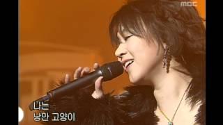 음악캠프 - Cherry Filter - Romantic cat, 체리필터 - 낭만 고양이, Music Camp 20021228