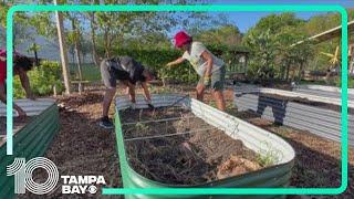 Tampa Heights' Community Garden is growing more than just veggies