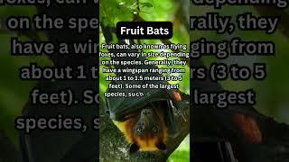 FACTS to KNOW about FRUIT BATS: Nature Unleashed!!! #shorts #facts