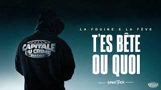 La Fouine - T'es bête ou quoi ft. La Fève (Visualizer)