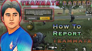 My Teammate Killed Me | How To Freeze Him | Pubg Mobile | Gametory Boy