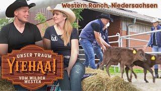 Wagyu-Rinder und Western-Traum!  In Isterberg leben echte Cowboys und Girls | Yiehaa!