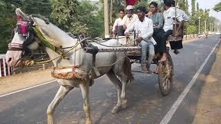 TamTam Riding in Rajgir @crowd #tamtam #rajgir #bihar #riding #glassbridgerajgir #adventure #youtube