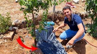 هذا السرّ سيجعل نباتاتك تفور وتصبح مثل الغابة  اذا التزمت بهذه التعليمات في هذا الفيديو !