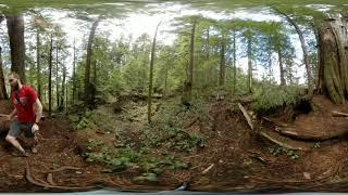 Kennedy Falls & Big Cedar. Part 1, Big Cedar Tree - A-Team VR 360 Video Tour
