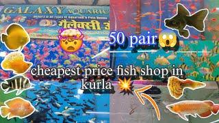 Kurla fish market | cheapest aquarium fish market in Mumbai |Rupees Vlogs&live