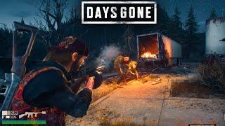 Days Gone | Чикагская скрипка | Гнёзда