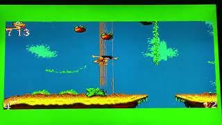 #mastersystemchallenge - Jungle book with Rodgyretro and Buttercup