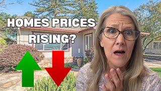 “Santa Cruz Home Prices Dropping? What Buyers & Sellers Need to Know March 2025”