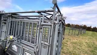 Wrangler and Bulldog portable corrals with a Pearson XL portable squeeze chute