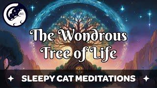 Journey to the Tree of Life (Bedtime Story For Grownups)