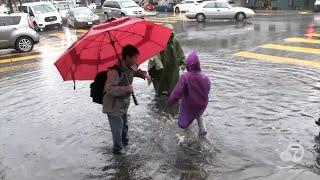 Flash flood warning as rain dumps in San Francisco