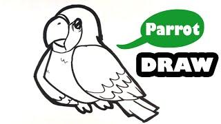 How to Draw a Parrot - Cute - Easy Pictures to Draw