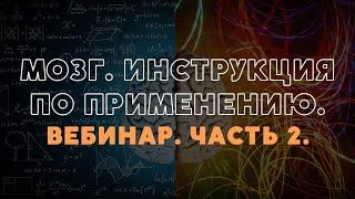 Магия успеха: Как правильно составить сценарий жизни и улучшить свою жизнь через здоровый сон! | МСО