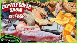 BEST BOAS AT THE POMONA REPTILE SUPER SHOW! (June, 2024)