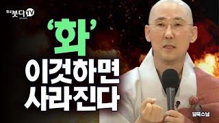 '화' 이것하면 사라진다? | 일묵스님(제따와나 선원)의 ' 화 어떻게 버릴 것인가' | 화요열린강좌 통합본 재업 | 분노 괴로움 무상 불안정 행복 고통 마음 집착