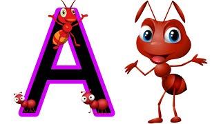 a for ant b for ball r for rat, for ant s for snake m for monkey,abcd song for kidz with kidzbuchapk