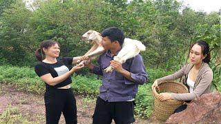 While harvesting tubers to sell, Ngan saw her boyfriend happily walking with another girl.