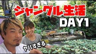 香港でジャングル生活１日目〜蚊と蜘蛛大量で大ピンチ！【Workaway in 香港】