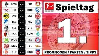 1. Spieltag 1. Bundesliga 24/25 alle Spiele Prognosen / Fakten / Tipps / Ergebnis Tipp / 1 Liga