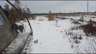 Пригласили на охоту и рыбалку. Выезд далеко в тайгу на реку Лозьва.