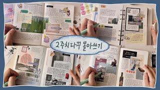 다꾸 밀린 사람 들어와,,,다양한 다이어리에 2주치 다꾸 몰아쓰기ㅣ다이어리 꾸미기, 스크랩 다꾸, 감성 다꾸, 다꾸 asmr
