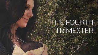 The Fourth Trimester - Easing Your Baby Into The World