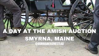 A Day at The Amish Auction // Annual Consignment Auction // Smyrna, Maine