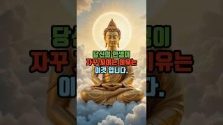 모든 것은 마음 먹기에 달려 있다 l 지혜의 등불 #일체유심조 #부처님 #부처님말씀