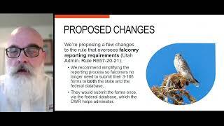 Proposed falconry rule changes for 2024 - 25