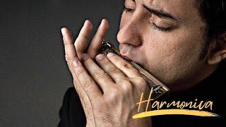 Harmonica | Blues Music | AudiShack  #blues  #windinstrument