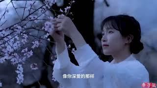 如愿 李子柒 AS WISH