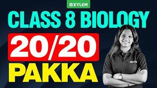 Class 8 Christmas Exam | Biology | 20/20 PAKKA | Xylem Class 8