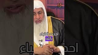 ما حكم قراءة التوراة لتعلم مقارنة الأديان _ الشيخ مصطفى العدوي _#غزة