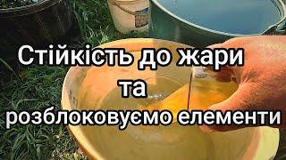 Чим полити помідори коли на вулиці + 35-36