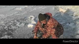 Аборигенка. Папа с сыном ставят сетку. Подледные сетки. Рыбалка на Амуре зимой.