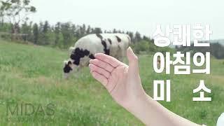 [MIDAS] 아침미소 목장 요거트